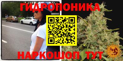 герыч Тула