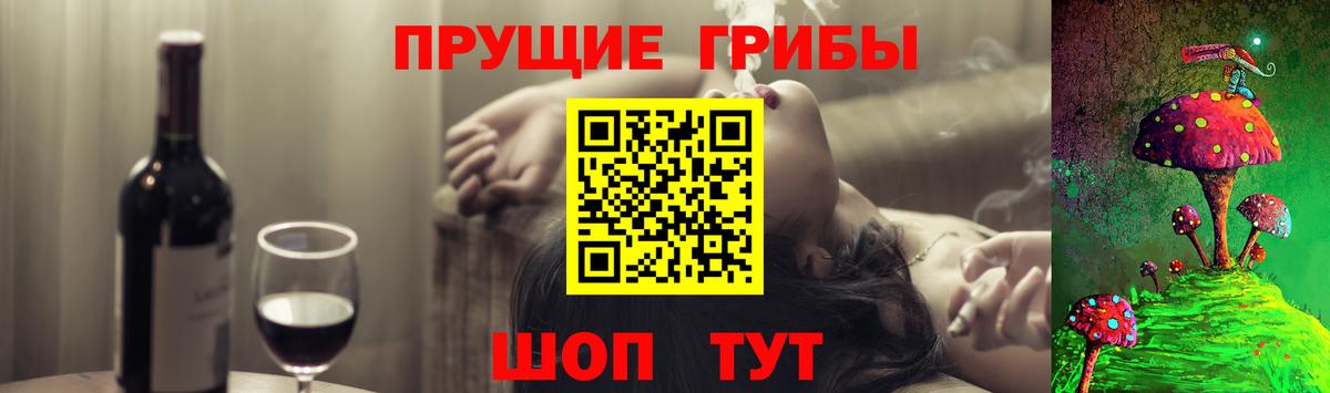 Псилоцибиновые грибы ЛСД  Псилоцибиновые грибы мицелий  Новоалександровск  Вход с VPN 
